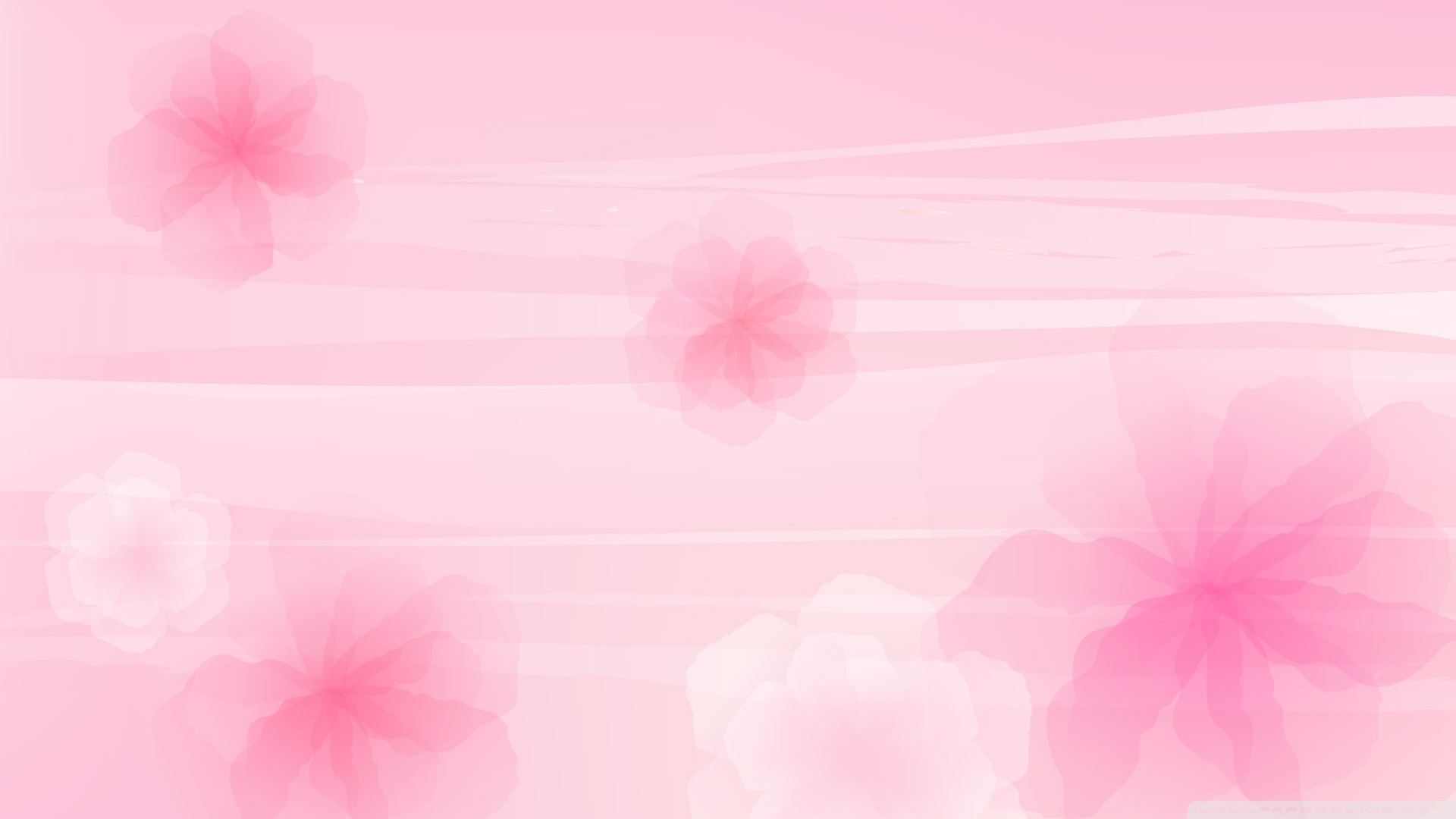 Pink-Wallpaper-colors-34511779-1920-1080 - NonSoloCerimonie.it